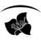 Logo claro